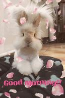 Image result for Good Morning Good Friday Bunnies