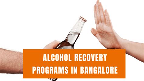 Image result for Alcoholism Recovery Programs