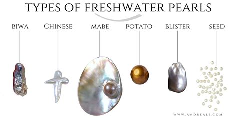 Freshwater Pearls Vs Saltwater Pearls Cultured Freshwater Pearls