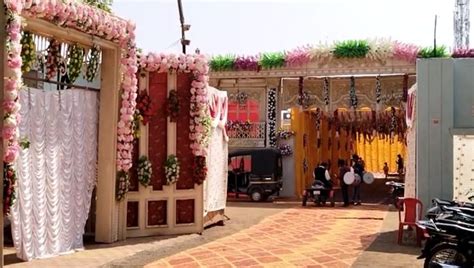 Wedding Day Buzzkill: Bee Invasion In Madhya Pradesh's Guna Leaves 20 ...