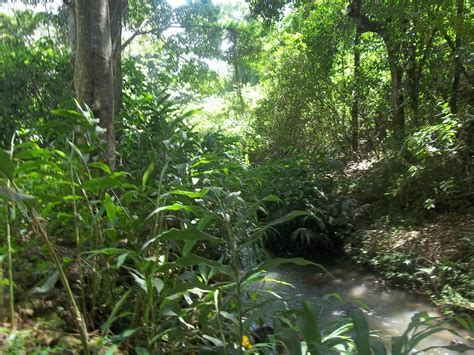 OLOOLUA NATURE TRAIL (2025) All You Need to Know BEFORE You Go (with ...