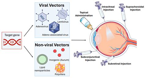 Gene Vector 的图像结果