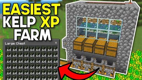 Rezultat imagine pentru Minecraft Java 1 21 Kelp XP Farm