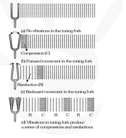 Describe with the help of a diagram, how compressions and rarefactions ...