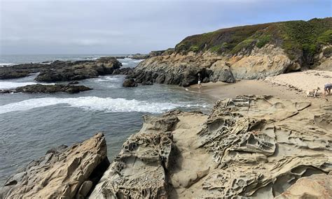 Bean Hollow State Beach | Coastside State Parks Association