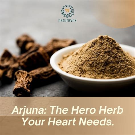 Arjuna- The Hero Herb Your Heart Needs