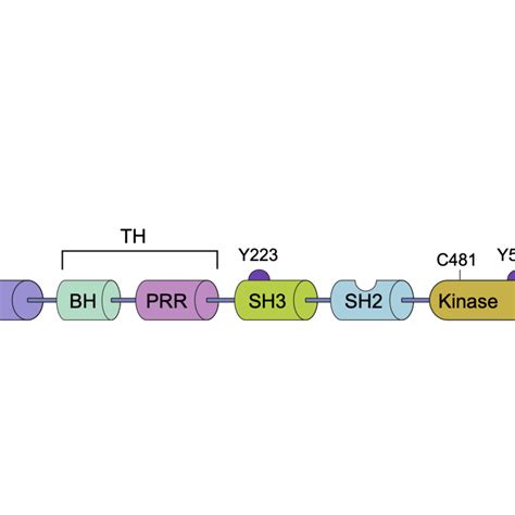 Mutationsanalyse weist Weg zu neuen Therapien