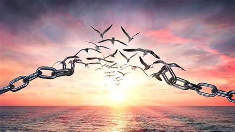 Breaking shackles of fear | Jericho Walls