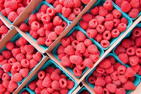 Raspberry | Description, Fruit, Cultivation, Types, & Facts | Britannica