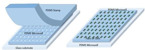 A Simple Method for Fabrication of Microstructures Using a PDMS Stamp