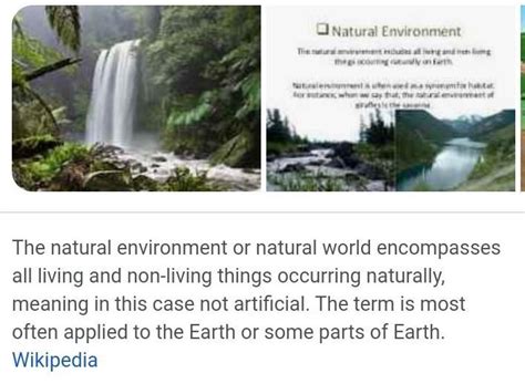 What do you mean by natural environment? - Brainly.in