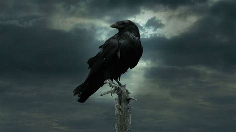 Dark Raven Wallpapers - Top Những Hình Ảnh Đẹp