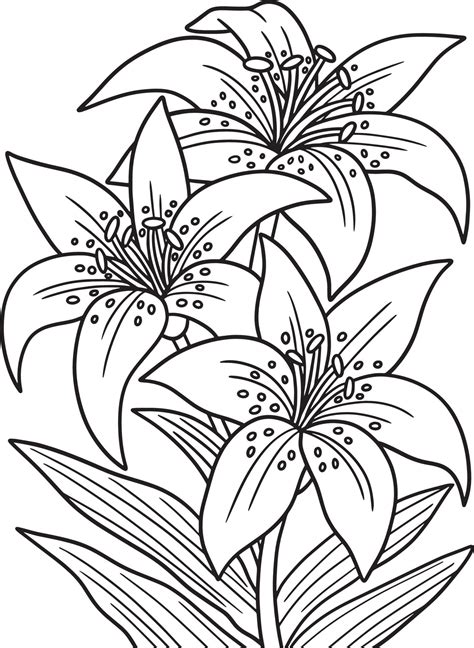 Lilies Flower Coloring Page for Adults 8944287 Vector Art at Vecteezy