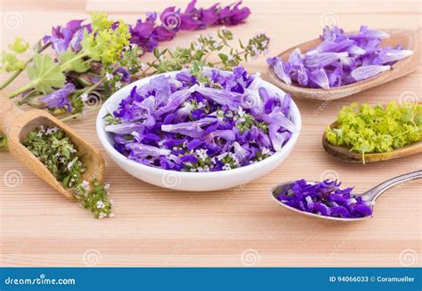 Are Violets Edible Flowers at Rita Clark blog