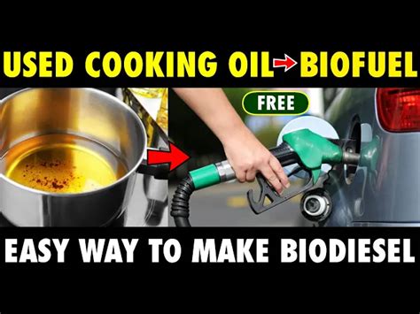 Biodiesel Production Business | Easy way to make BIODIESEL / BIOFUEL ...