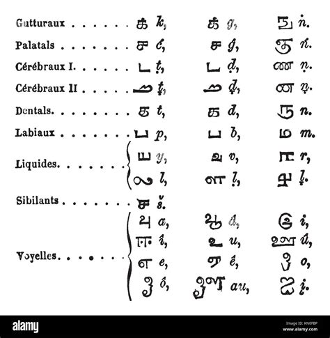 Tamil Language at Ronald Alvarez blog