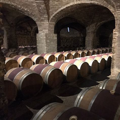 Casablanca Valley and Four Vineyard Wine Tour from Santiago 2021