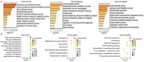 Proteomic Analysis Reveals the Protective Effects of Selenomethionine ...