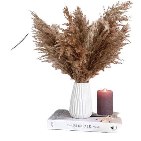 Arte CasaTen (10) Tall Stems 4ft Long (48") Large Pampas Grass 2021 ...