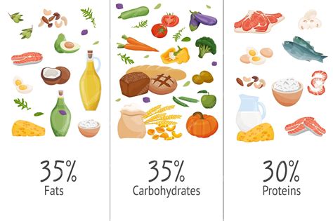 Premium Vector | Set of macronutrients carbohydrates proteins fats ...