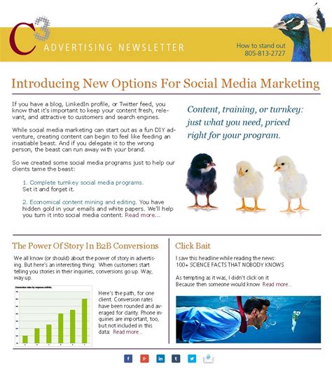 Email Newsletter Advertising 的图像结果