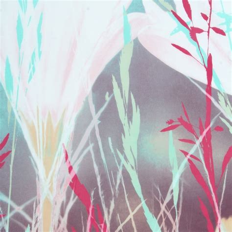 Buy Euphoria Printed 3-Pc. Double Bedsheet Set - 229 x 274 cm from Home ...