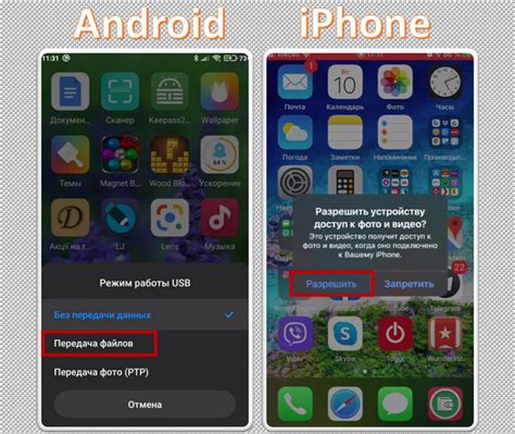 Как сделать импорт фотографий