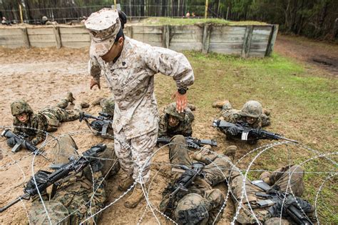 Tips for Surviving Military Boot Camp | Military.com