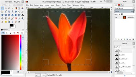 Rezultat imagine pentru GIMP Design Software