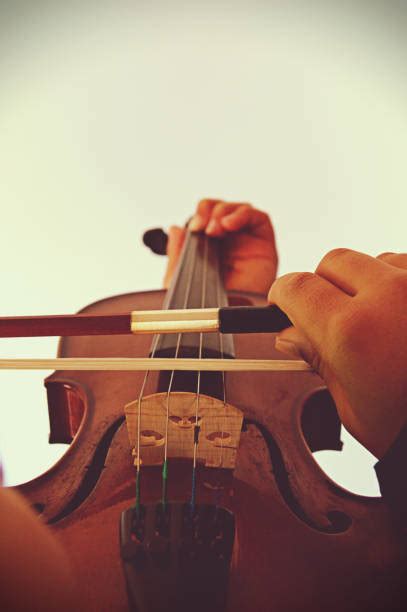 String Instrument 的图像结果