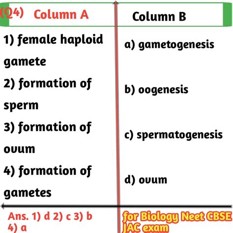 matching question examples in biology for class 12th exams - Biologysir
