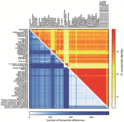 Characterization and Pathogenicity of the Porcine Deltacoronavirus ...