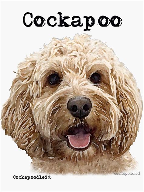 Image result for Savage Cockapoo Dogs
