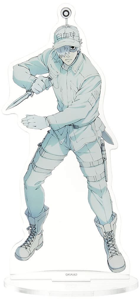 White Blood Cell Drawing