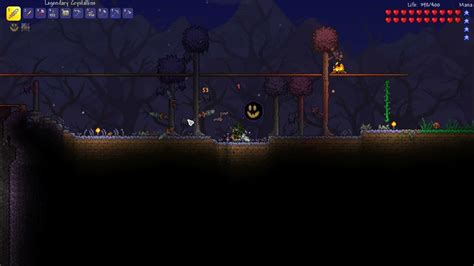 Image result for Tmodloader Bug