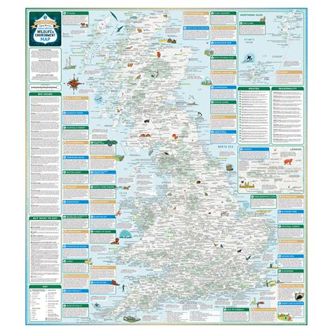 Image result for Magic Map