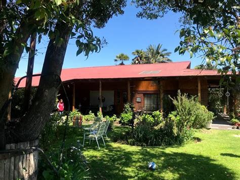 STA. MARTA B&B (Curico) - Lodge Reviews, Photos, Rate Comparison ...