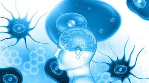 World Mosquito Day 2025: Natural Ingredients That Effectively Repel ...