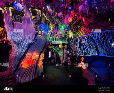 Image result for Meow Wolf Patterns
