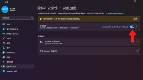 Hack BitLocker 的图像结果