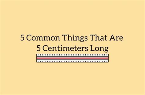Common Dimensions for the Average American Dining Room