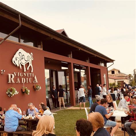 VIGNETI RADICA (2025) All You Need to Know BEFORE You Go (with Photos ...