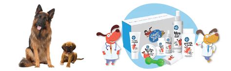 Captain Zack Dog Groom Box For All Breeds | Ultimate 8-in-1, Head-to ...