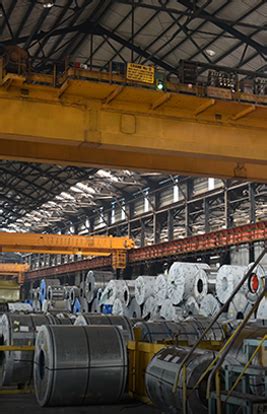 TSDPL - High Tensile Steel Processing in India