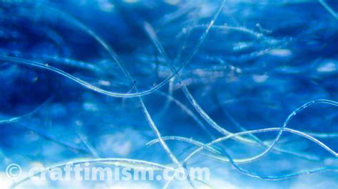 Image result for Wool Under a Microscope