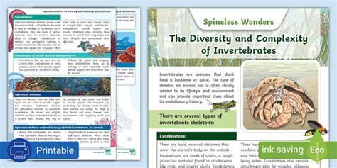 Spineless Wonders: Diversity and Complexity of Invertebrates