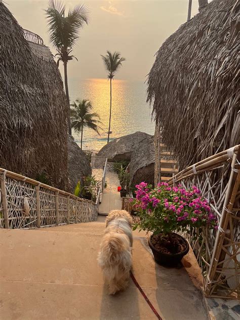 OBRIGADO BY CRAFTELS (Cola) - Hotel Reviews, Photos, Rate Comparison ...