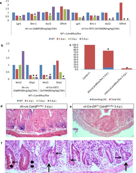 Image result for ISC Cell
