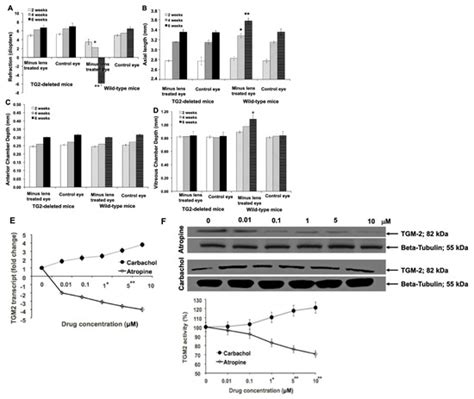 Molecular Basis of Transglutaminase-2 and Muscarinic Cholinergic ...
