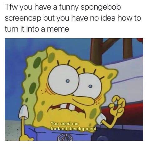 Local Development Meme 的图像结果